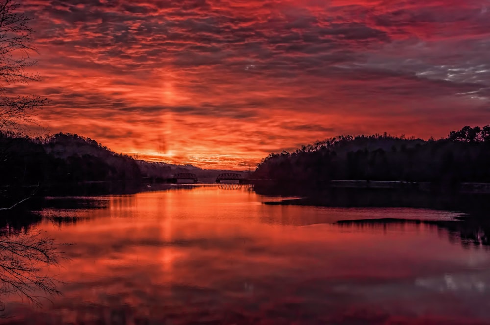 silhouette of trees near body of water during sunset