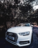 A sleek, natural-colored car parked on a quiet street, captured in soft morning light.