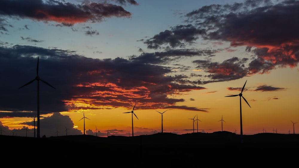 silhouette of wind turbines during sunset
