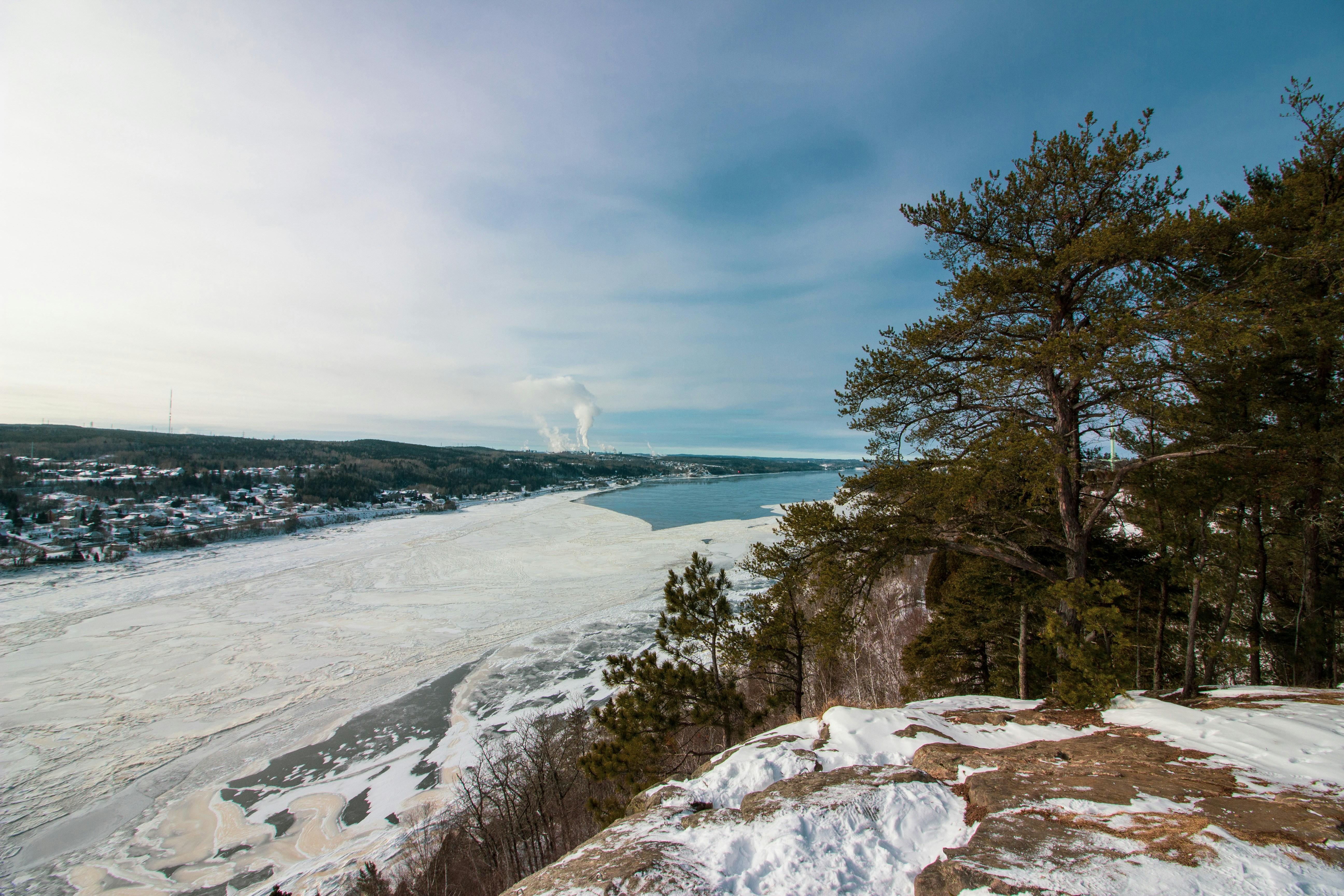 green trees near body of water under white clouds and blue sky during daytime