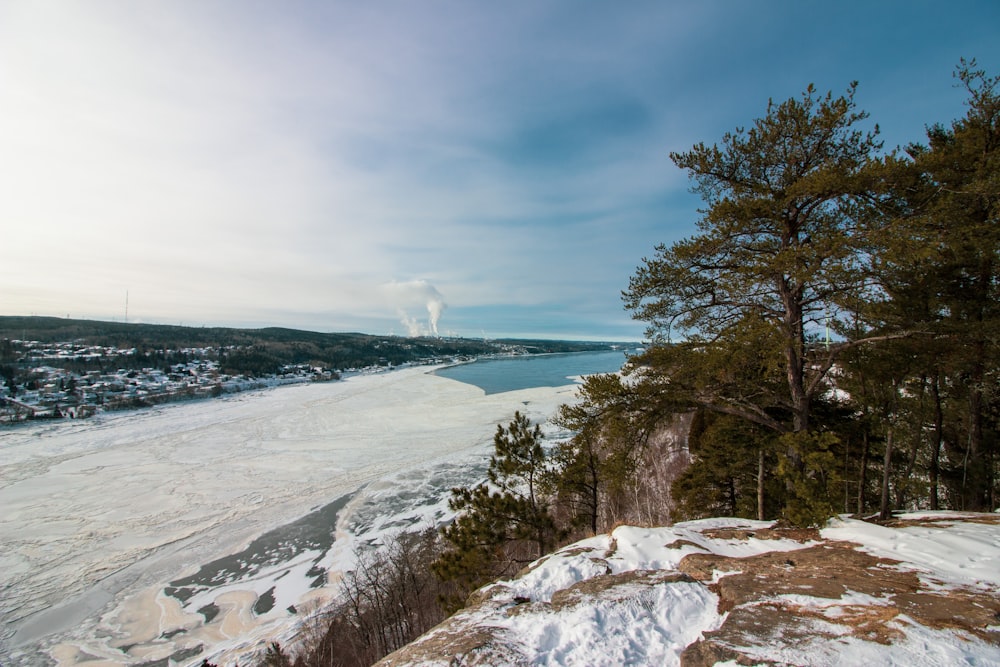 green trees near body of water under white clouds and blue sky during daytime