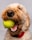 A close-up view of a fluffy, light-colored dog holding a bright yellow tennis ball in its mouth. Its mouth is open slightly showing its teeth, and it is wearing a red collar. The background is plain and gray, keeping the focus on the dog.