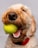 A close-up view of a fluffy, light-colored dog holding a bright yellow tennis ball in its mouth. Its mouth is open slightly showing its teeth, and it is wearing a red collar. The background is plain and gray, keeping the focus on the dog.