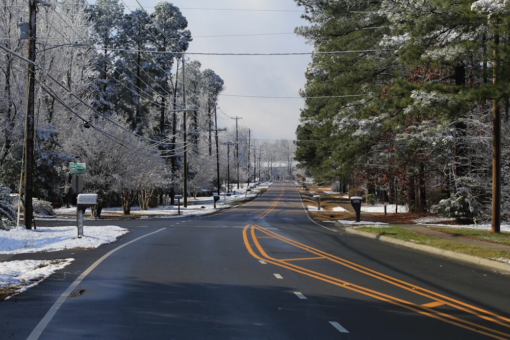 gray concrete road between trees during daytime