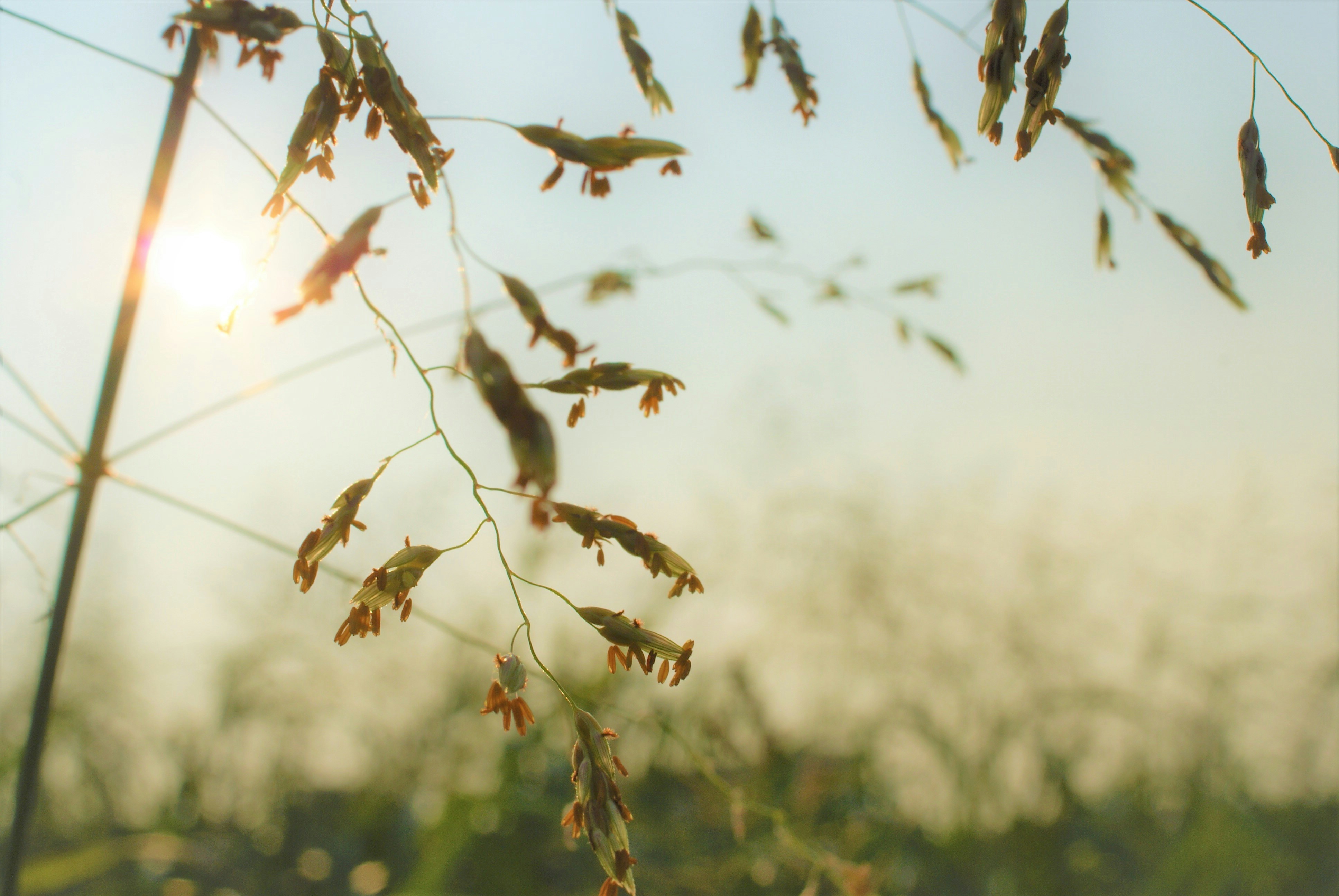 Photo by basyarifotografi