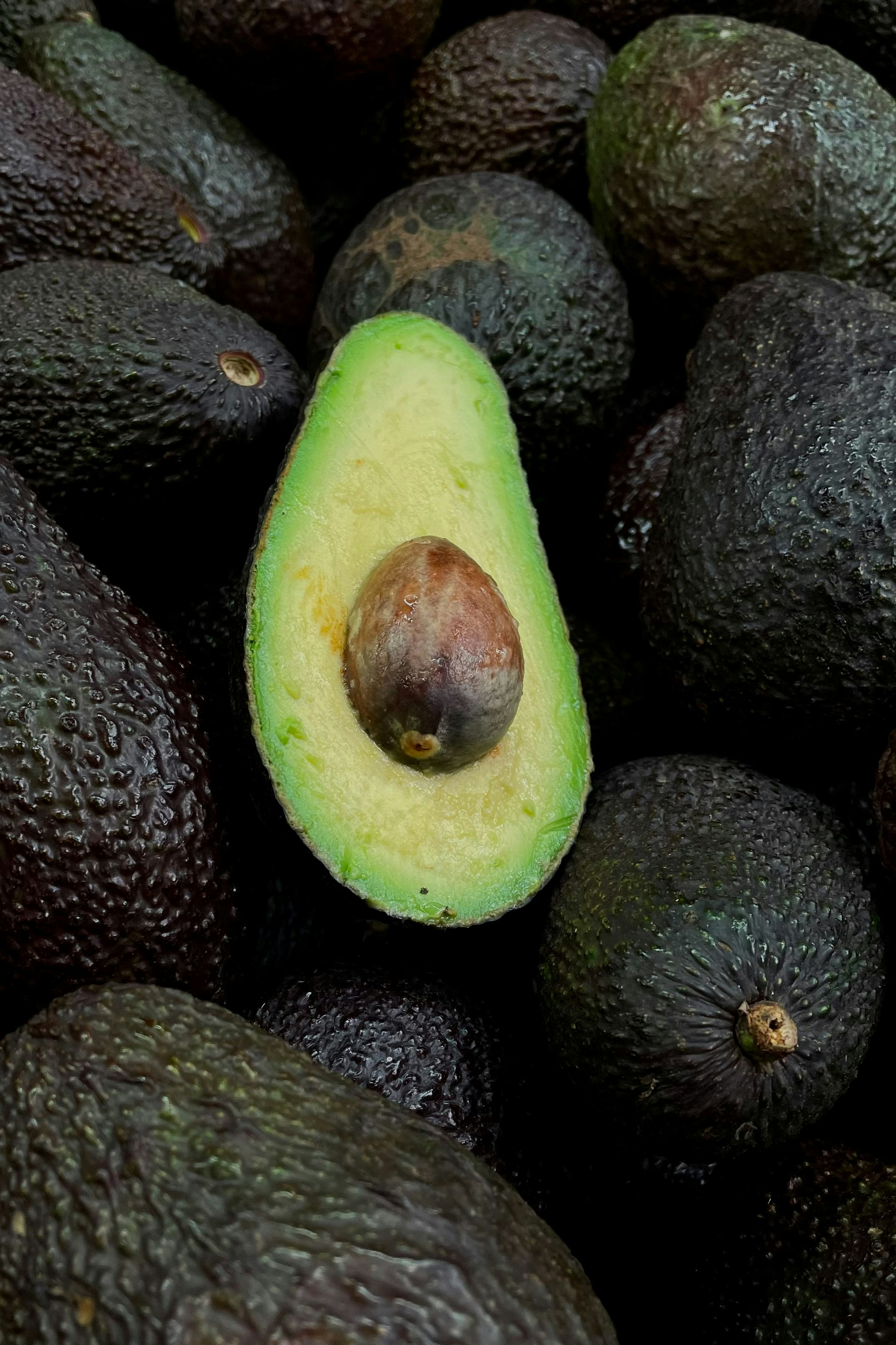 Avocado 