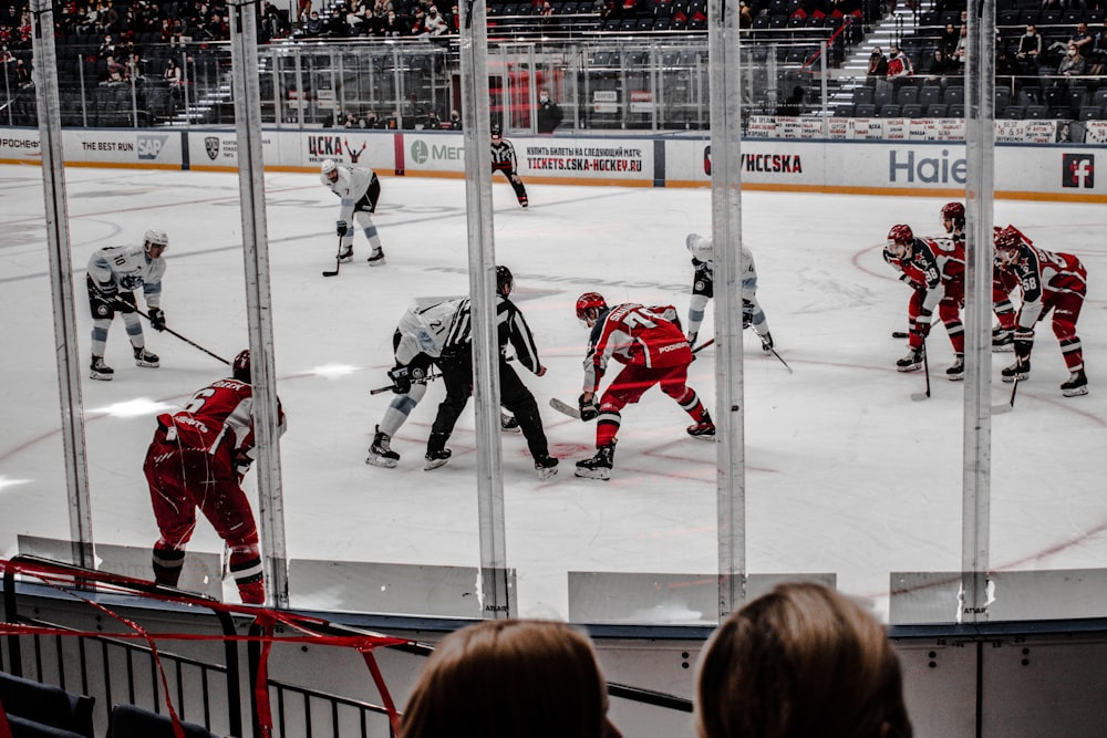 people in ice hockey jersey playing ice hockey