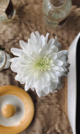 A white chrysanthemum flower with multiple petals is centrally placed on a textured brown surface. Surrounding it are translucent glass bottles and a yellow ceramic dish with a lid.