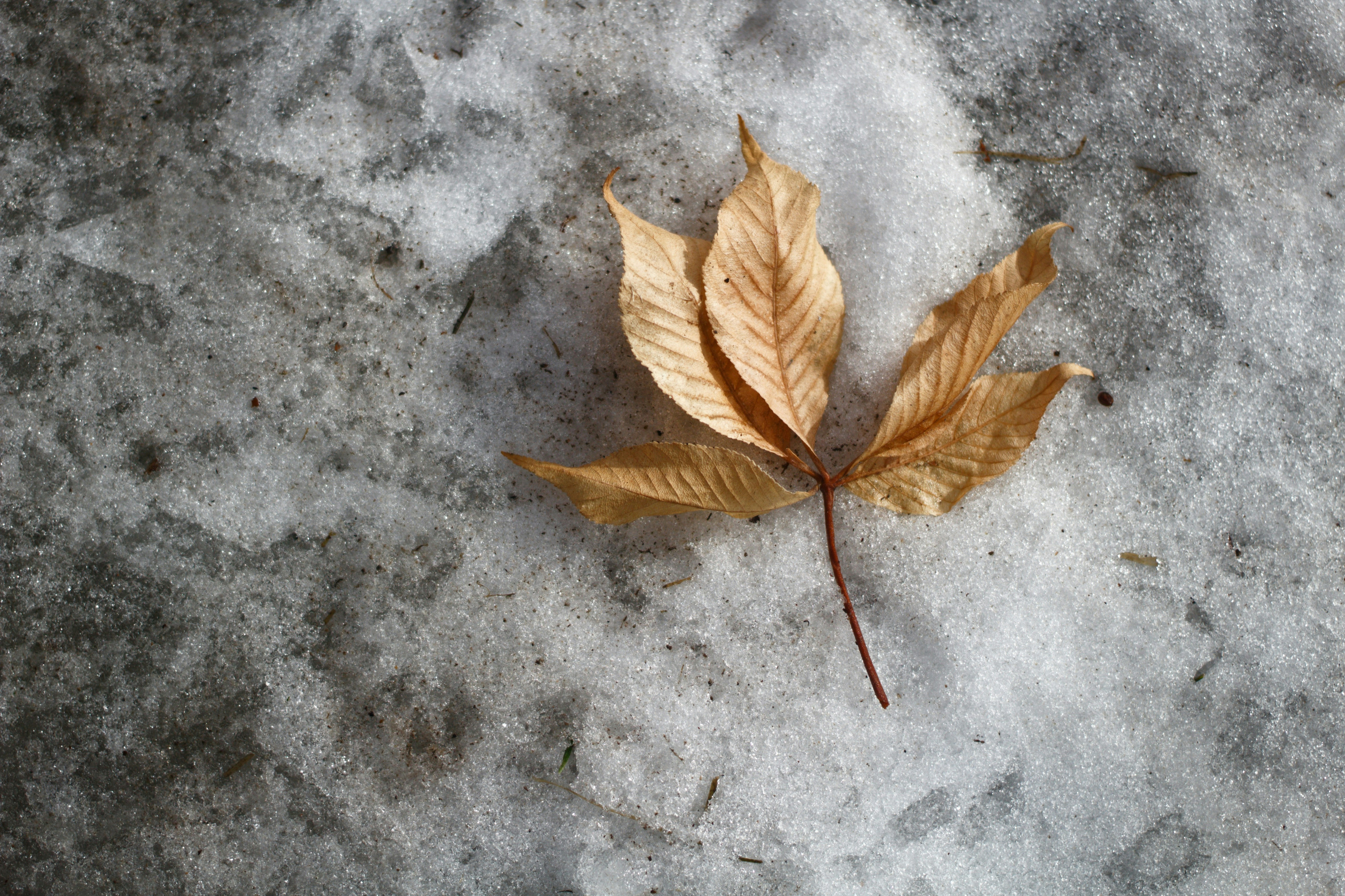 Photo by joshua_hoehne