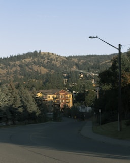 A quiet street with a gentle curve leads towards a cluster of three-story buildings nestled among tall pine trees. In the background, hills are covered with dense pine forests. A solitary streetlamp stands on the side of the road, and the late afternoon light casts long shadows.