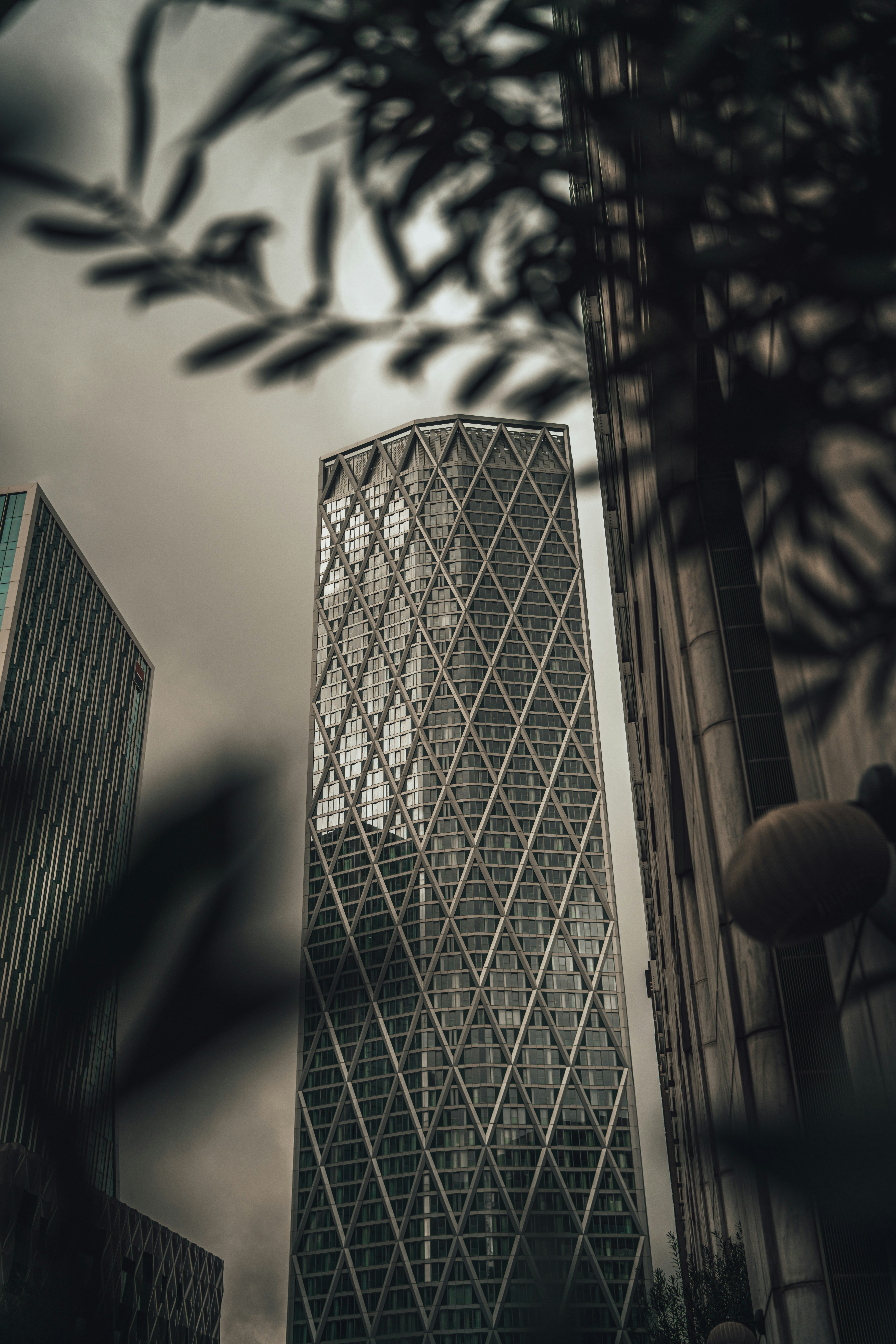 Photo by orangetiephotography