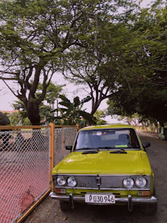 A vintage Isuzu car parked on a scenic country road surrounded by lush greenery.