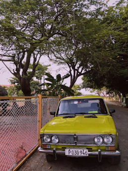 A vintage Isuzu car parked on a scenic country road surrounded by lush greenery.
