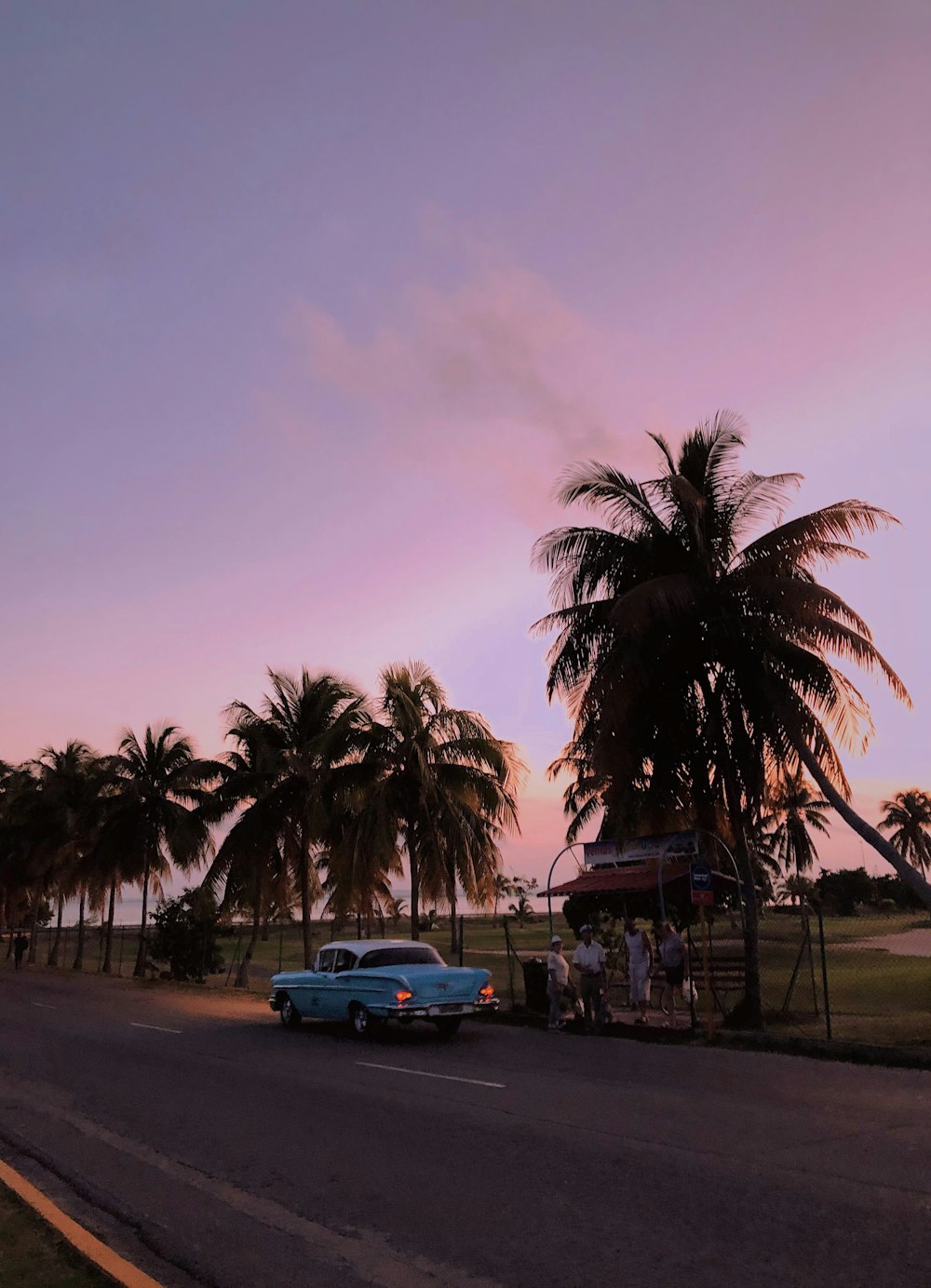 blue car parked near palm trees during daytime