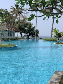 A serene swimming pool reflects the clear blue sky. Palm trees and lush greenery surround the area, with a traditional-style house visible in the background. The tranquil water extends towards the horizon, creating a peaceful and inviting atmosphere.