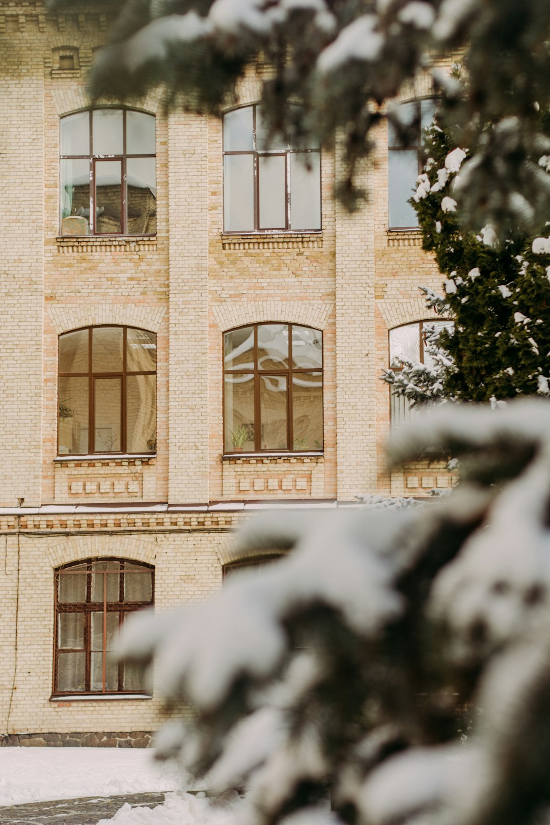 white snow on green tree near brown concrete building during daytime