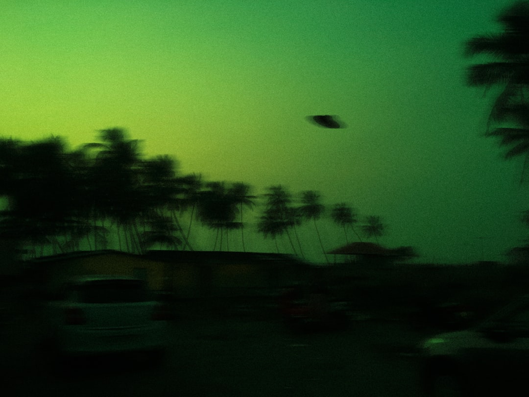 green and black trees under blue sky, They Knows.