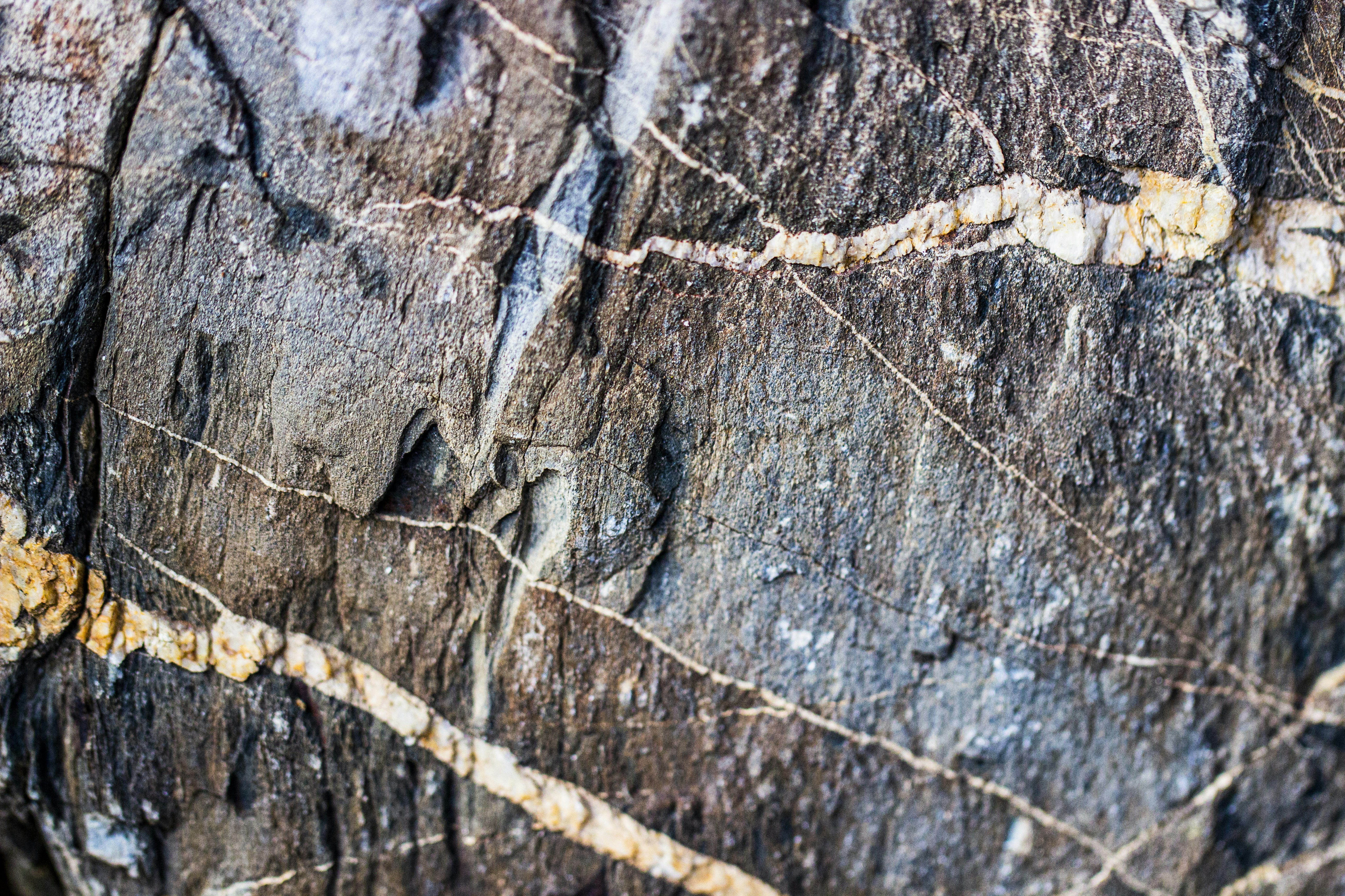 Photo by tomtherapidcodeguy