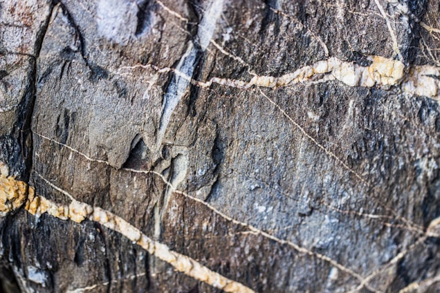 Rough textured rock with intricate patterns of beige and white veins running through a dark, greyish surface. The rock surface appears weathered, with natural cracks and variations in color.