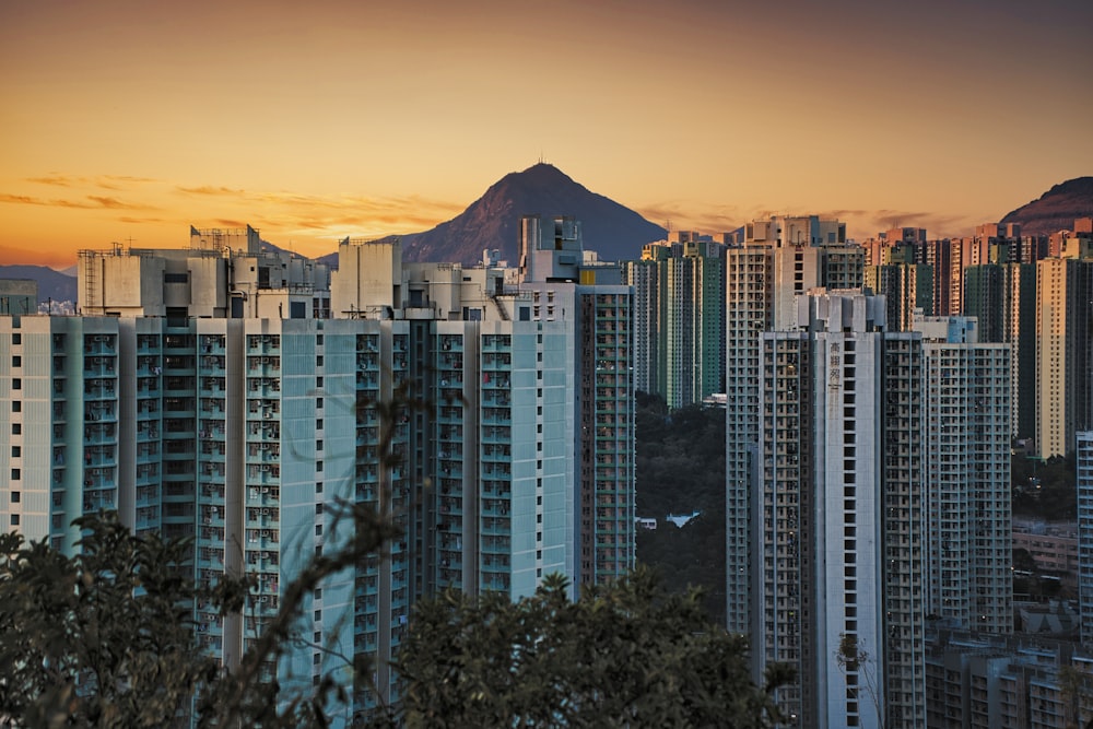 white high rise buildings during sunset