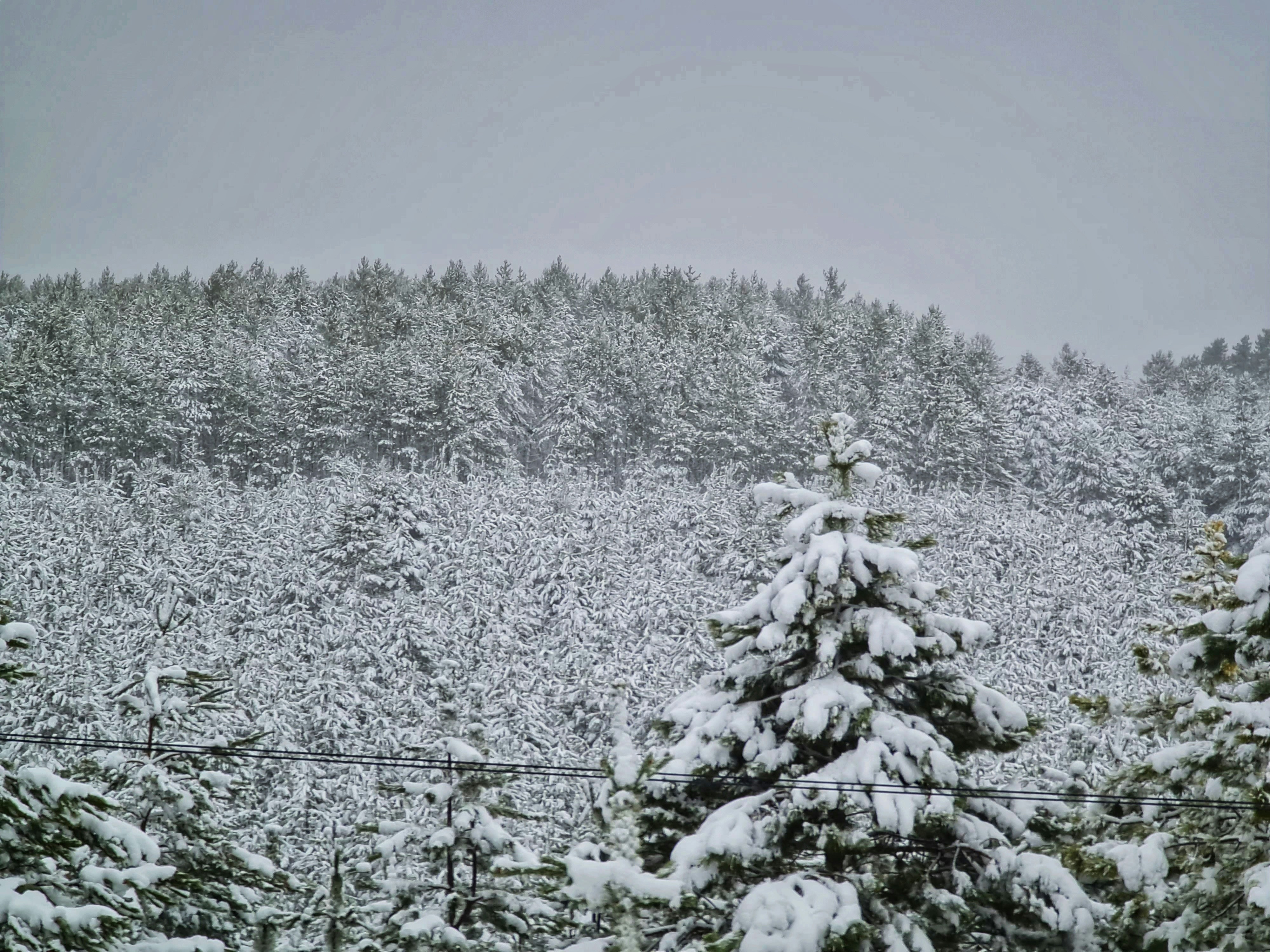 Photo by quentincaron