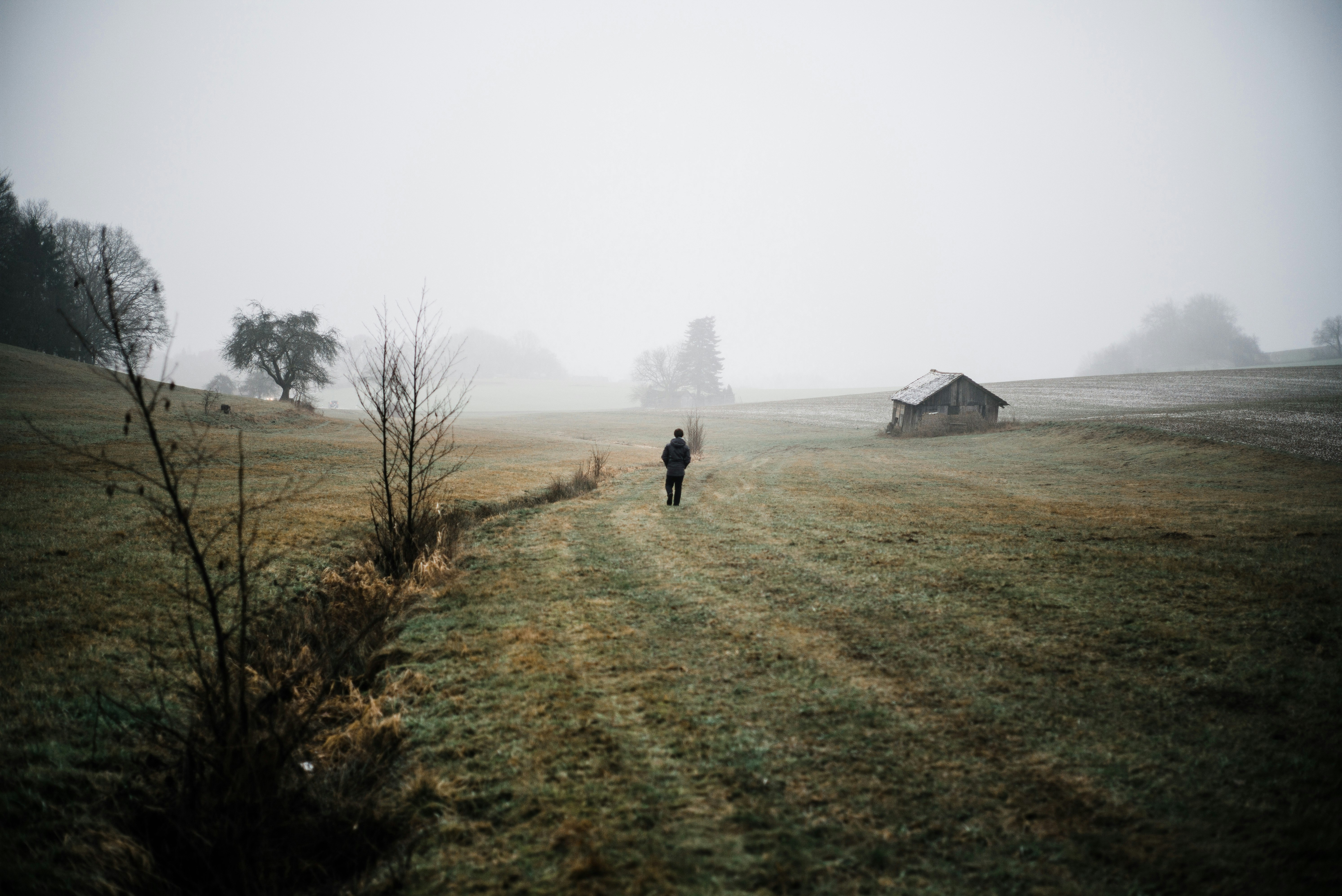 person walking on green grass field during daytime