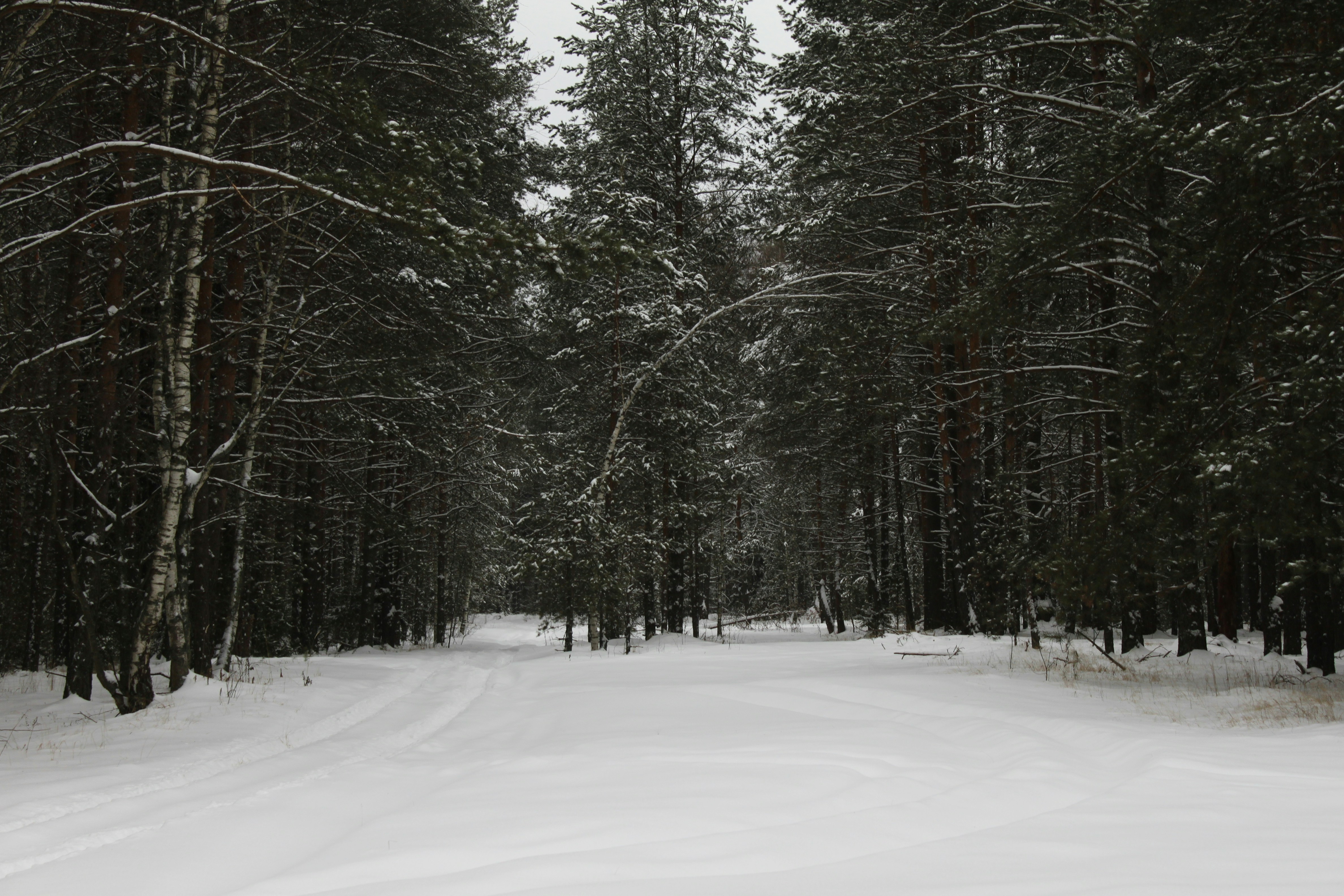 Photo by shibanovaaa_