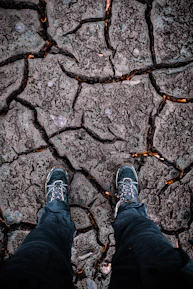 Close-up of rugged boots standing on sandy soil with desert plants nearby.