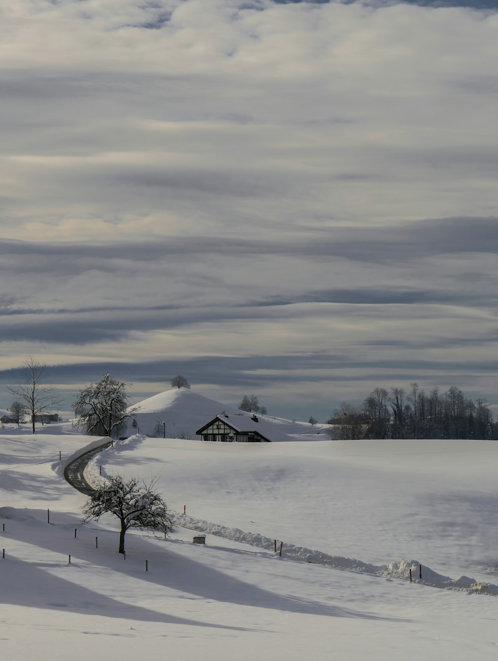 campo coberto de neve e árvores sob o céu nublado durante o dia