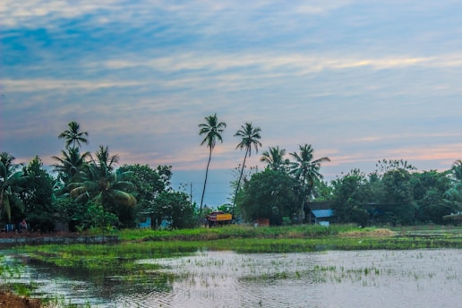 A serene sunrise over a luxury wellness retreat nestled in lush greenery, symbolizing renewal and longevity.
