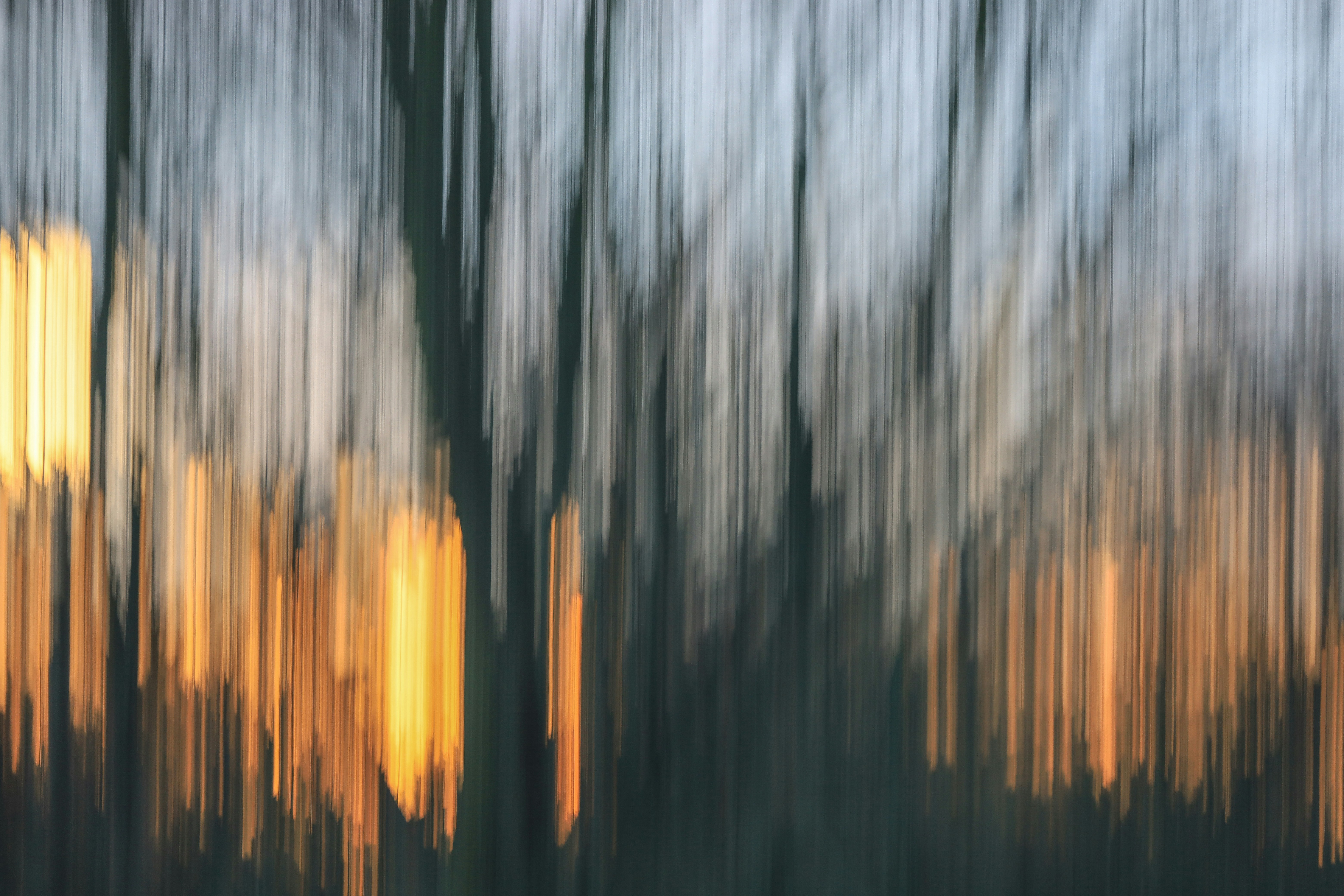 Photo by grievek1610begur