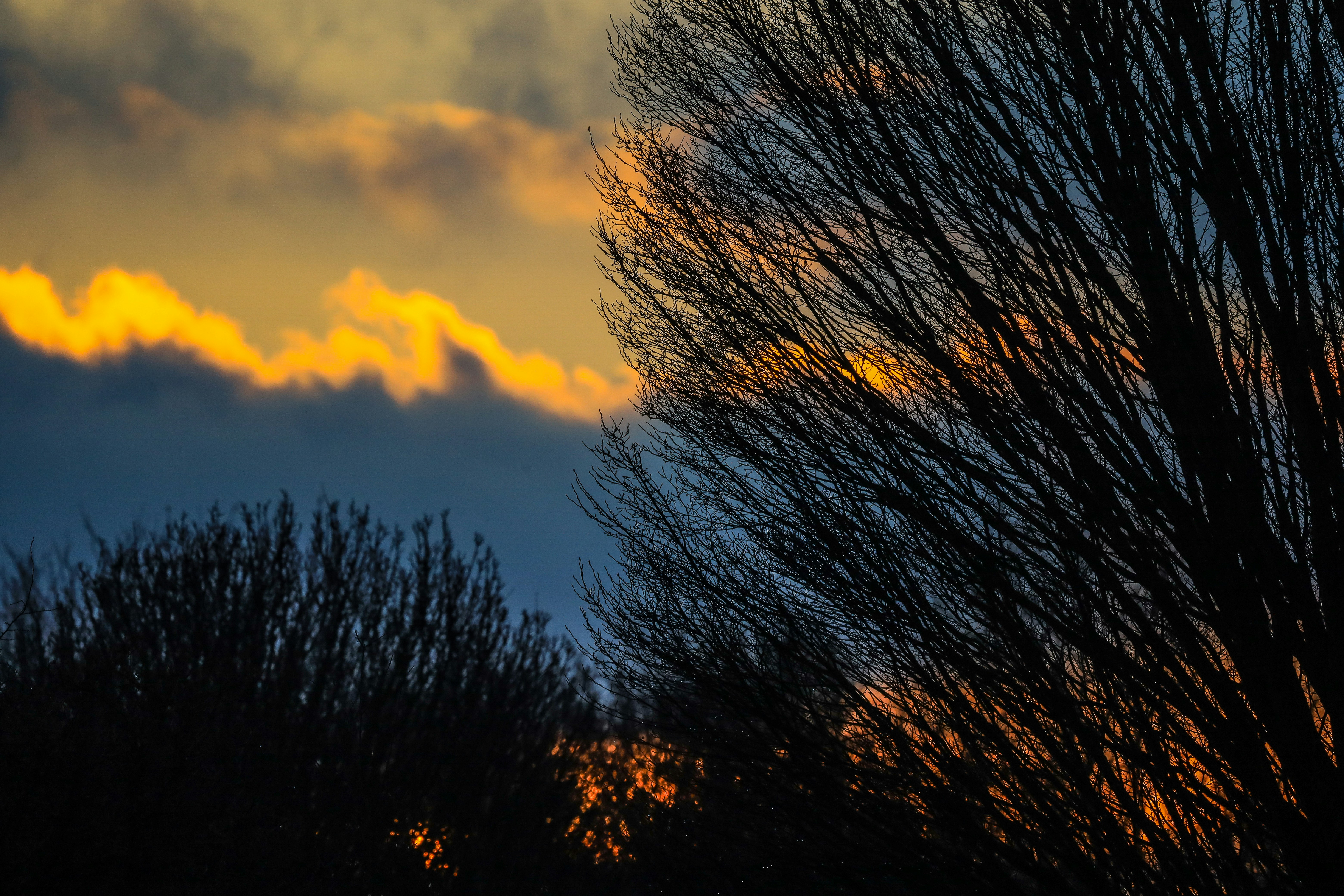 Photo by grievek1610begur