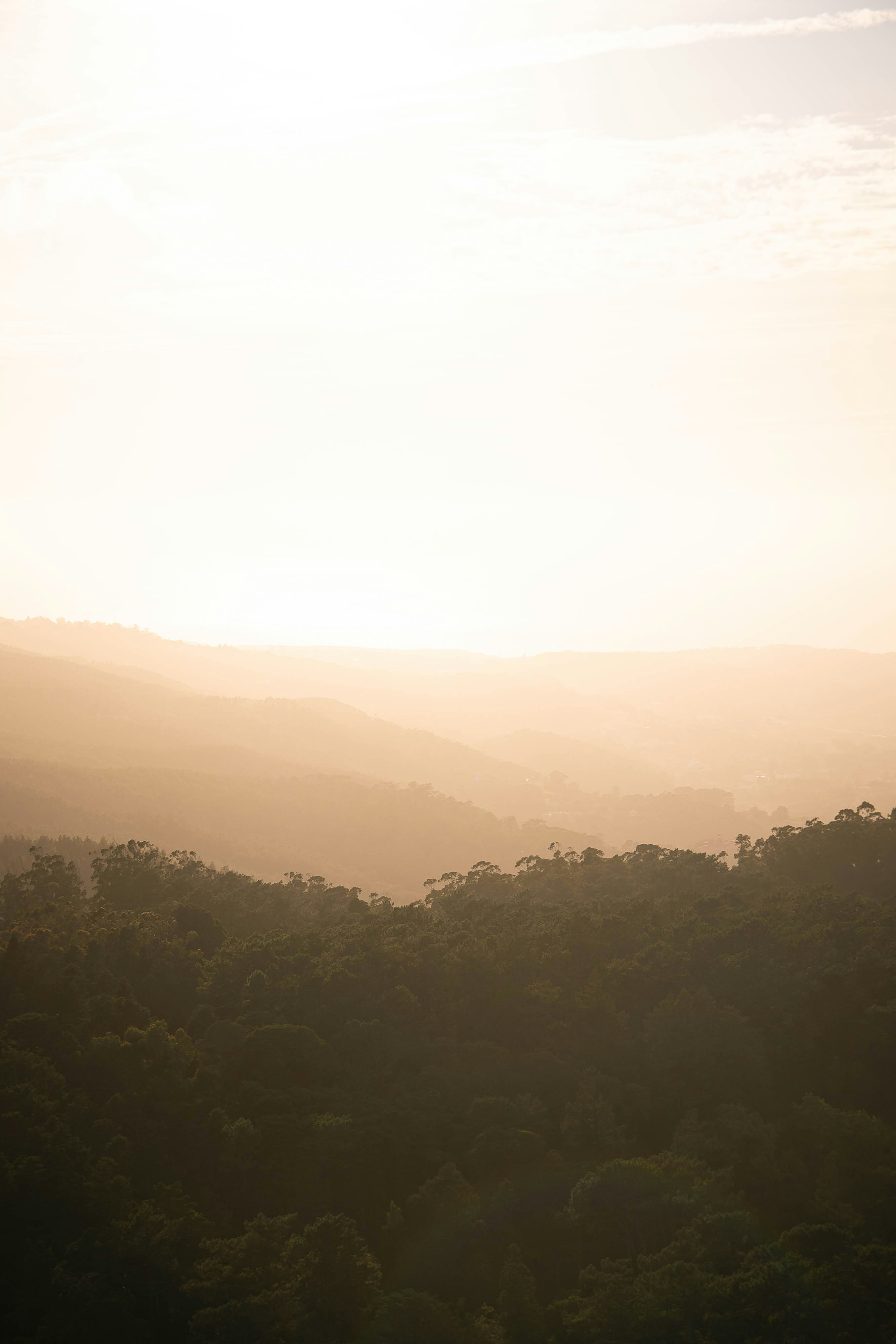 Photo by sirisvisual