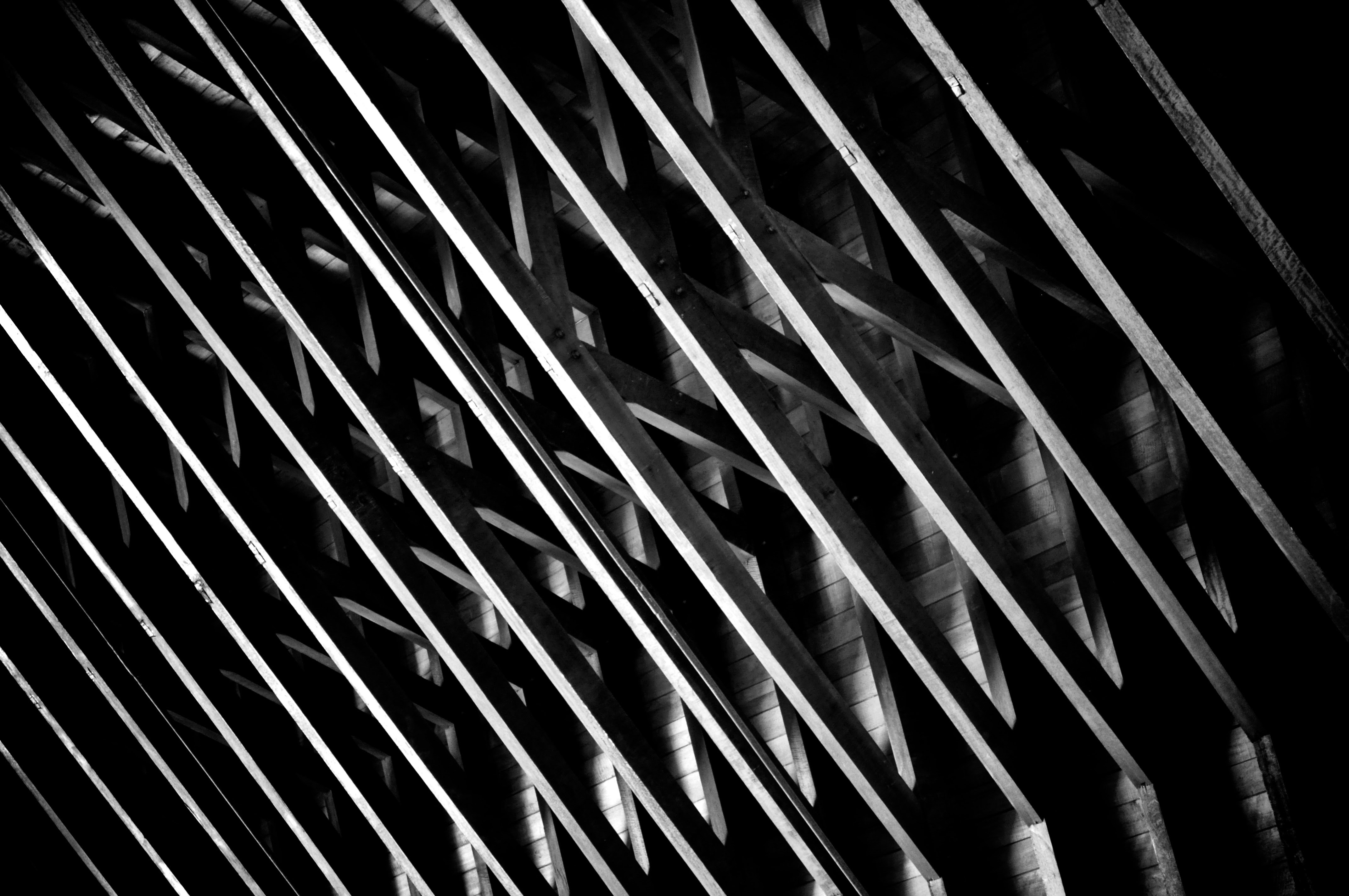 Photo by phillipexadai