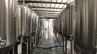Large stainless steel fermentation tanks are lined up in a brewery or industrial facility. The tanks have measurement markings and some are numbered. The flooring is made of concrete, and there are hoses and pipes leading to the tanks. Overhead, there is bright lighting and a metal roof structure.