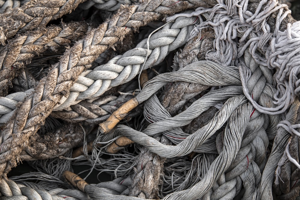 gray rope on brown dried leaves