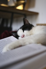 A black and white cat is lying down with its paw resting on an open book. The cat appears to be relaxed and resting in a cozy environment. The background is blurred, suggesting a warm indoor setting with soft lighting.