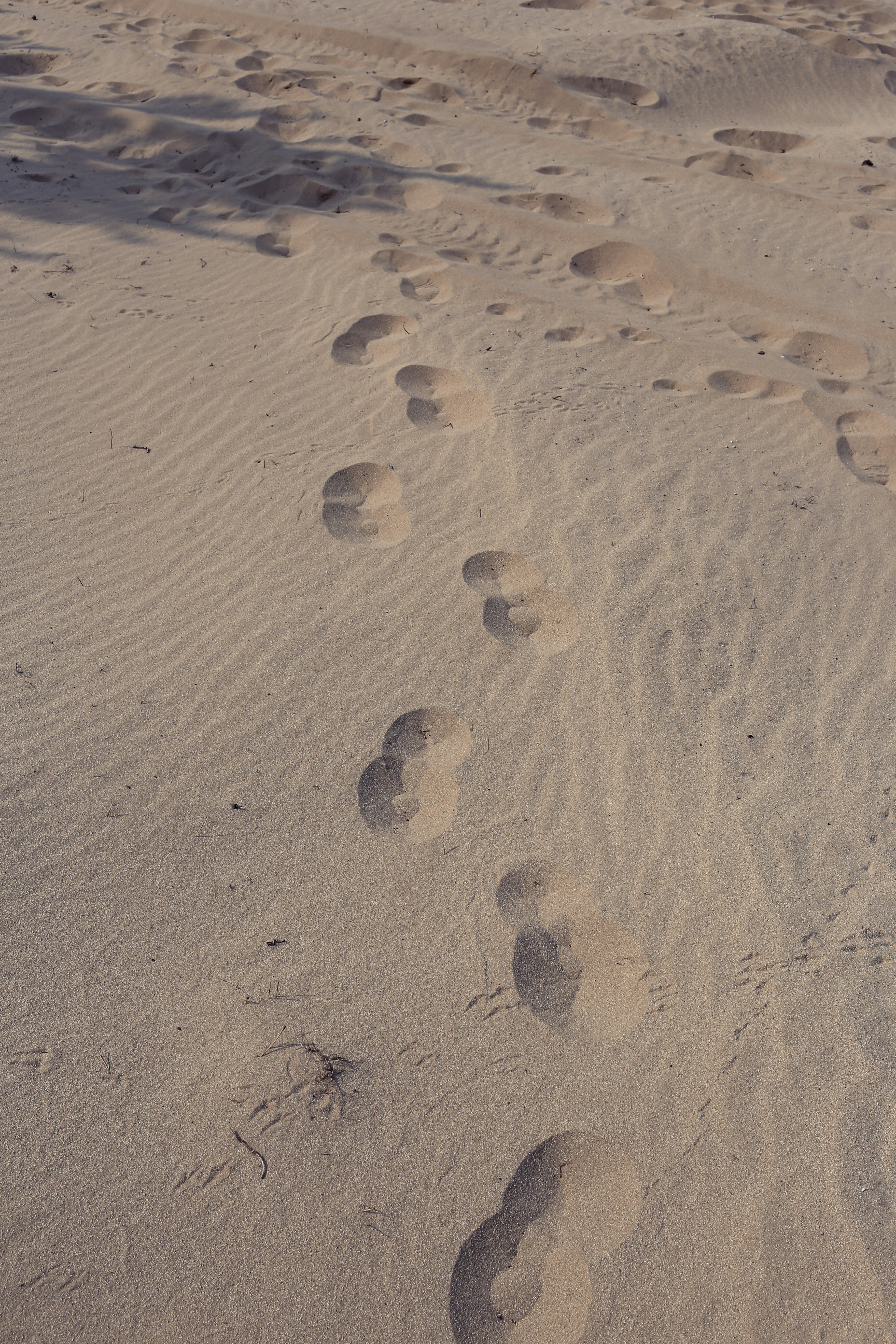 footprints on sand during daytime