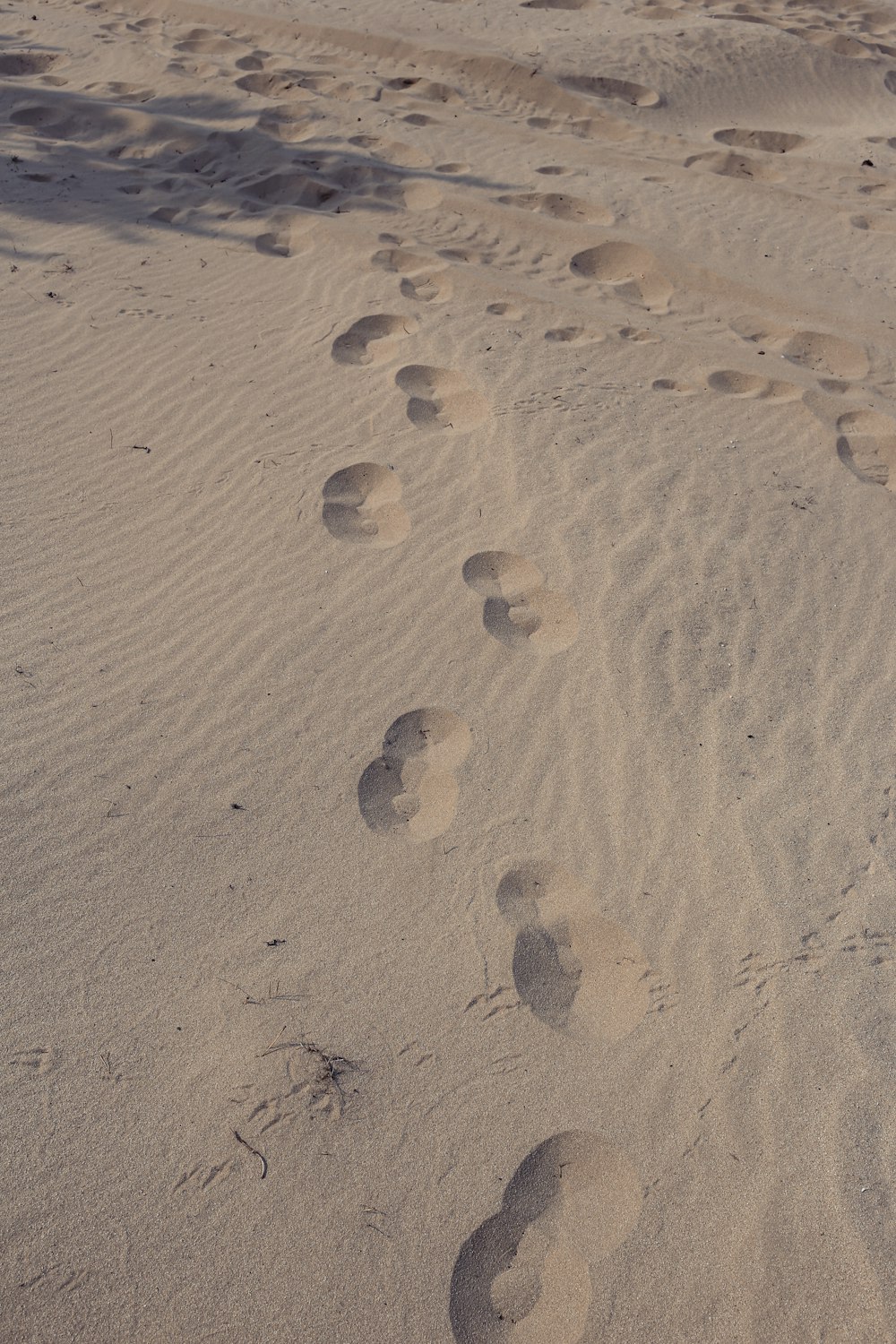 Fußabdrücke auf Sand während des Tages