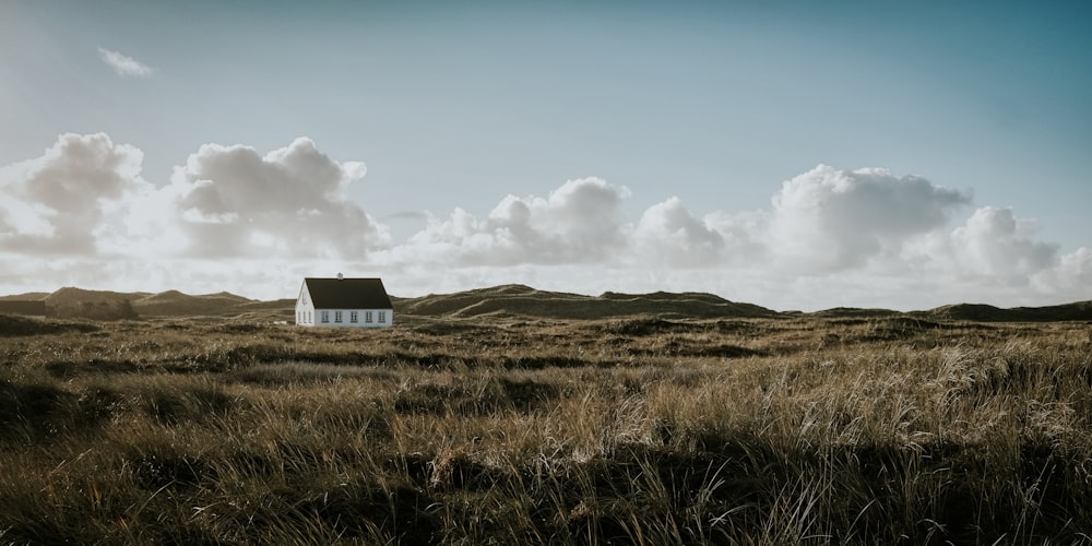 white and brown house on green grass field under blue sky during daytime