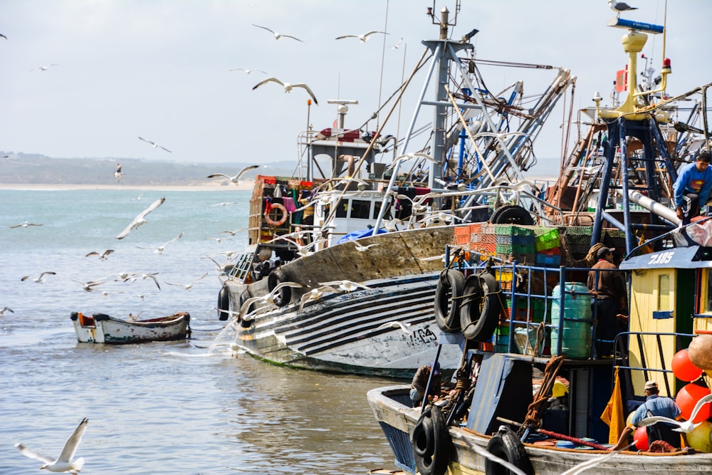 white and black boat on sea during daytime