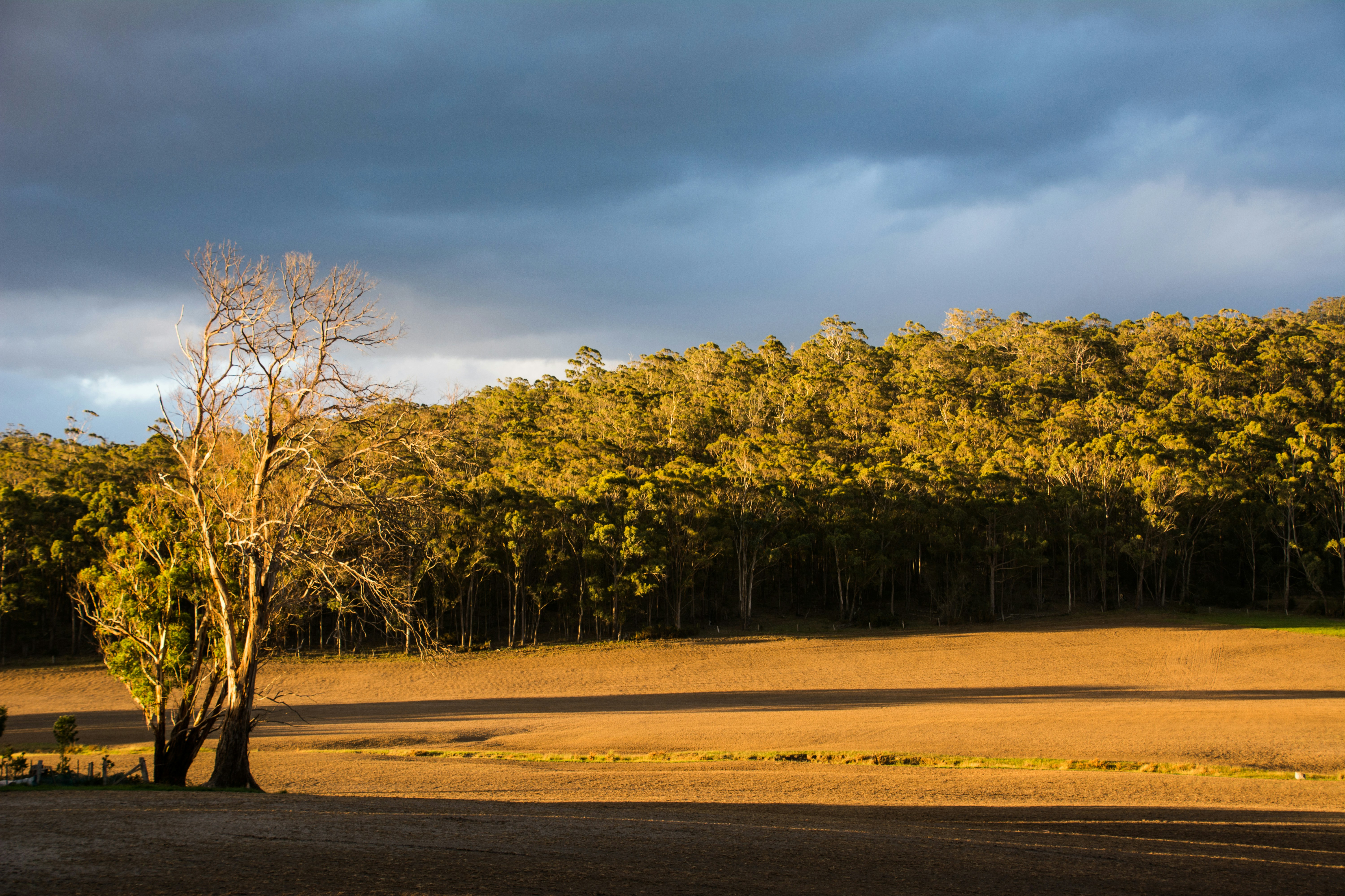 Photo by thomascouillard