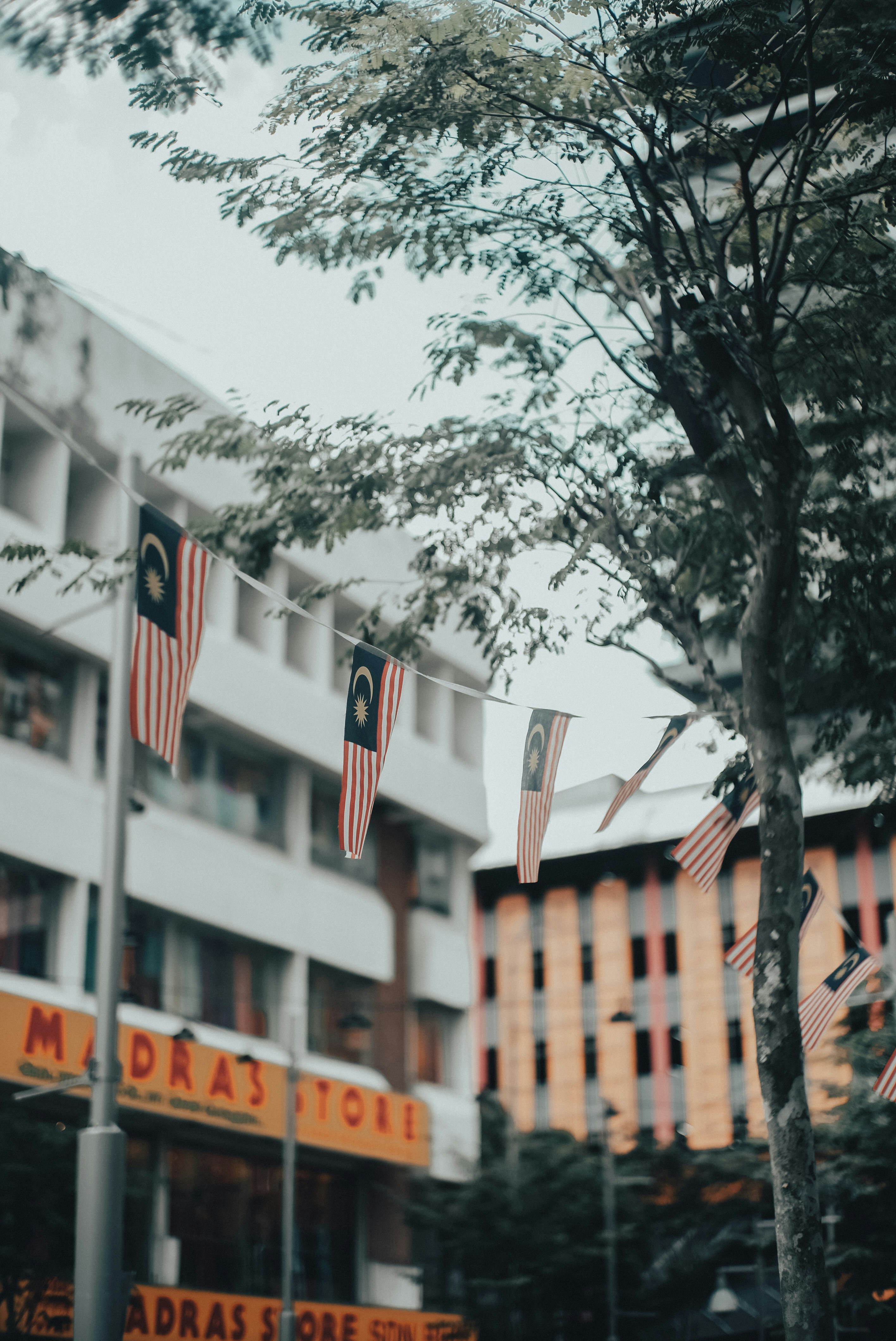 Immediate Arrival Expenses