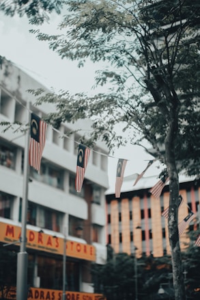 A street scene featuring multiple Malaysian flags hung on a string that stretches across the view. The background includes a building with a store named 'Madras Store' with a prominent yellow sign. Leafy branches of a tree partially obstruct the scene.