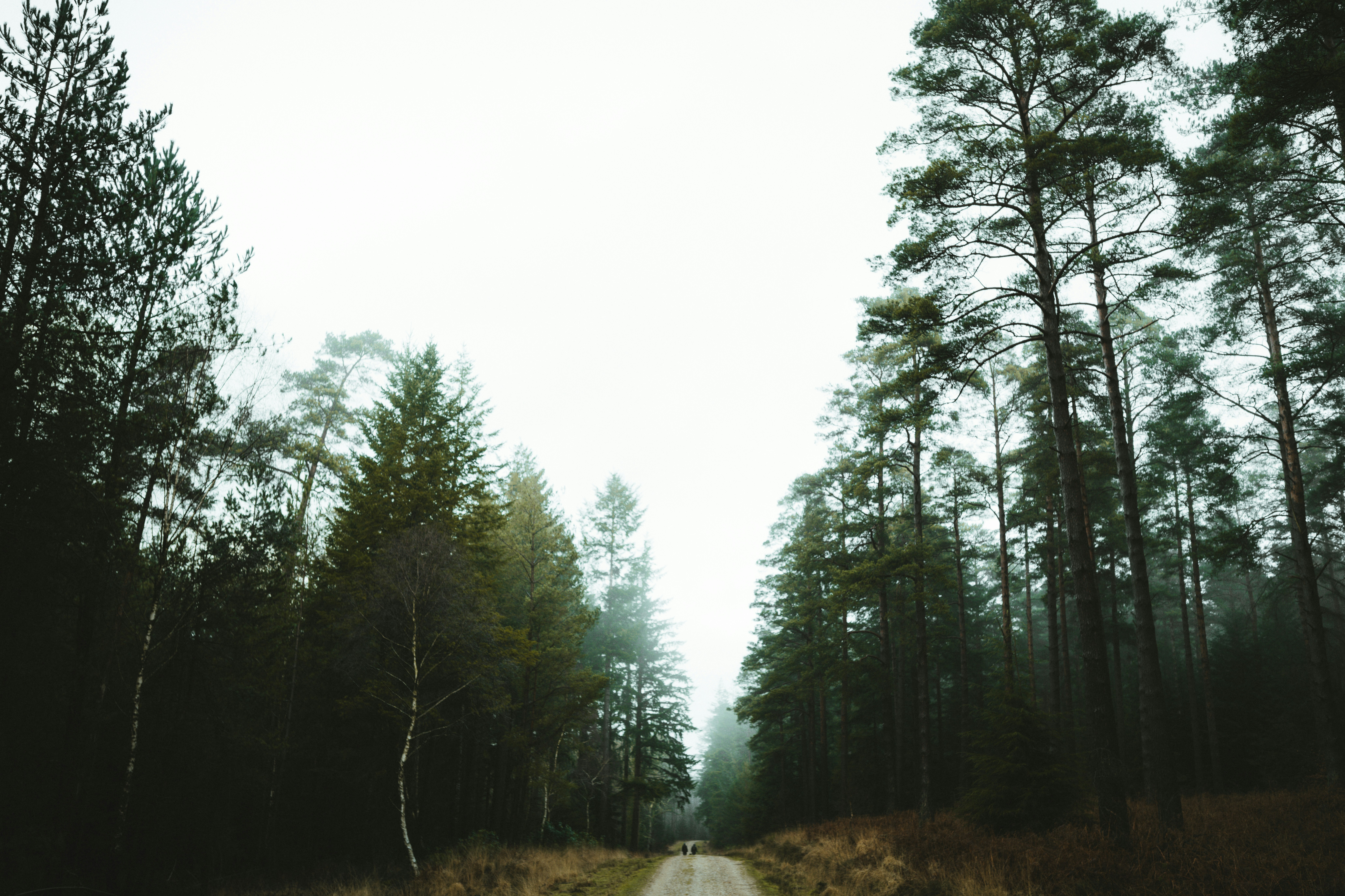 Photo by anniespratt