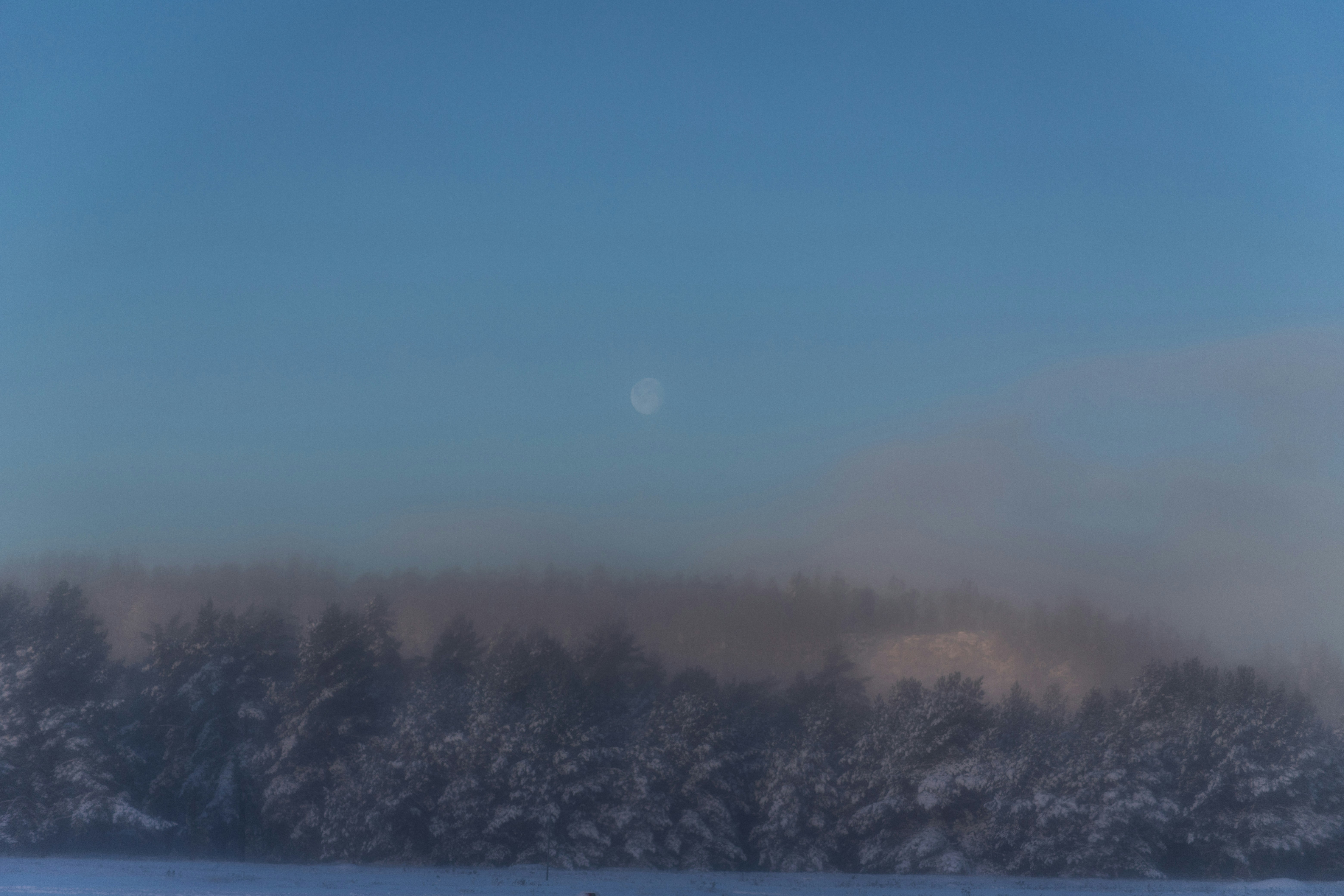 Photo by magnusostberg