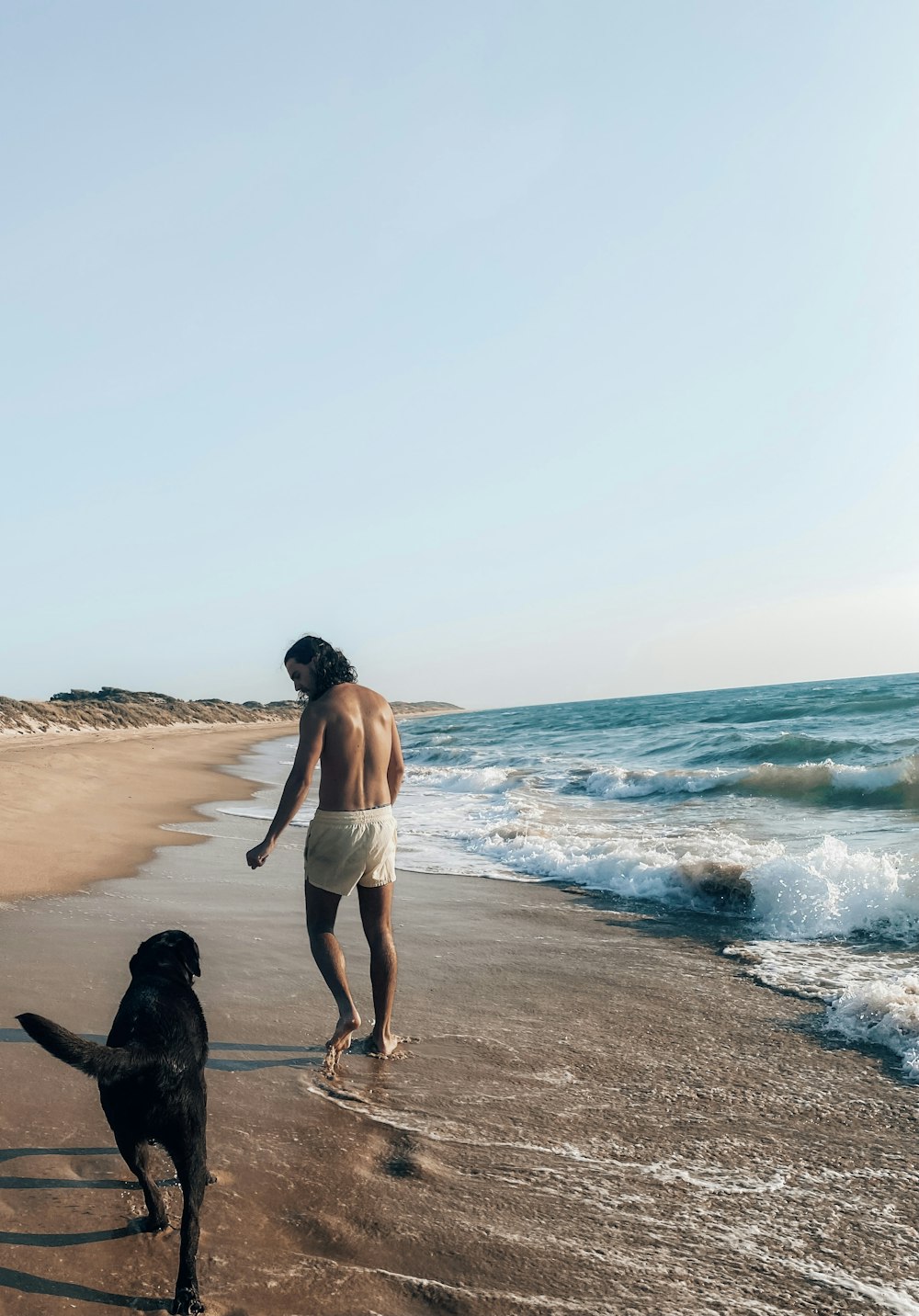 man in white shorts standing on beach with black labrador retriever