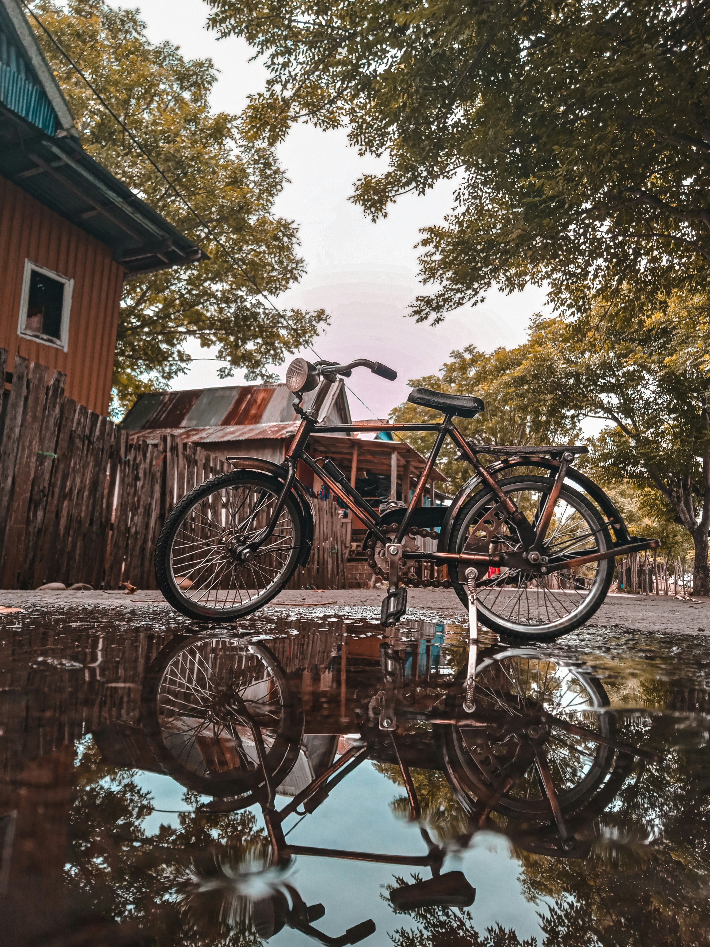 Photo by lensaliana_