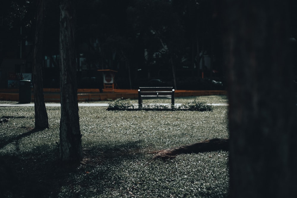 black bench on green grass field during daytime