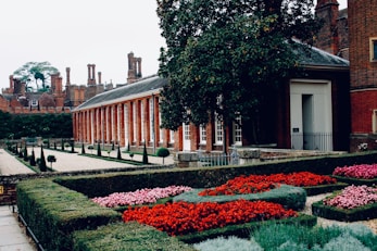 green and red plants near brown wooden building during daytime